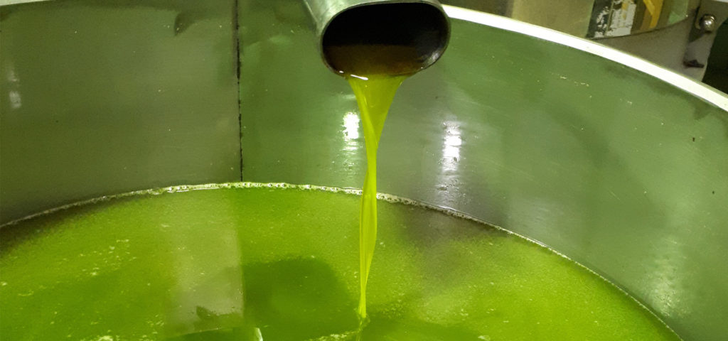 olio calabrese oro verde