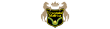 logo398